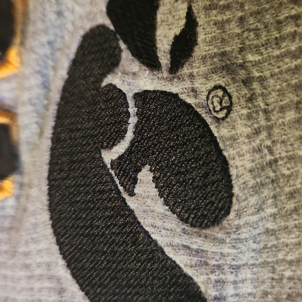 P2 Athletics Iowa Hawkeyes Long Sleeve Cut-Off Crop Top - Size 2XL (Distressed!) - Picture 5 of 7